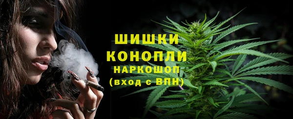 ГАЛЛЮЦИНОГЕННЫЕ ГРИБЫ Аркадак