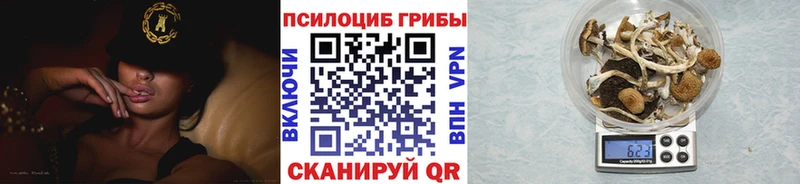 omg   что такое наркотик  Пугачёв  Псилоцибиновые грибы Psilocybine cubensis 