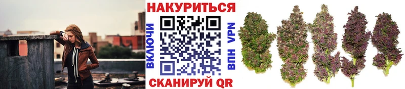 Бошки Шишки OG Kush  цены   кракен зеркало  Пугачёв 